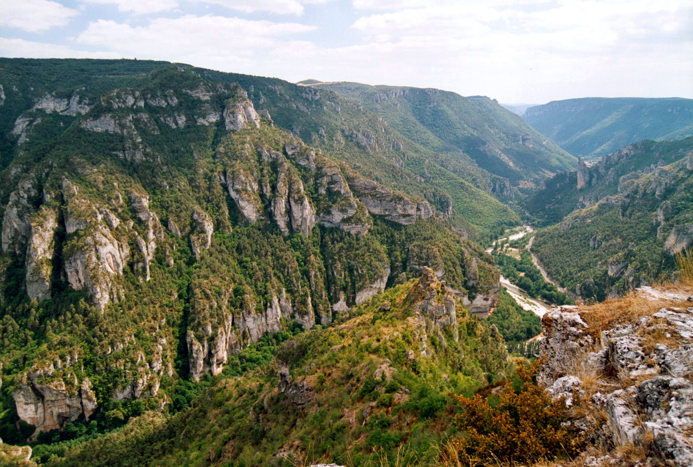 Photo des Gorges du Tarn en Lozère.