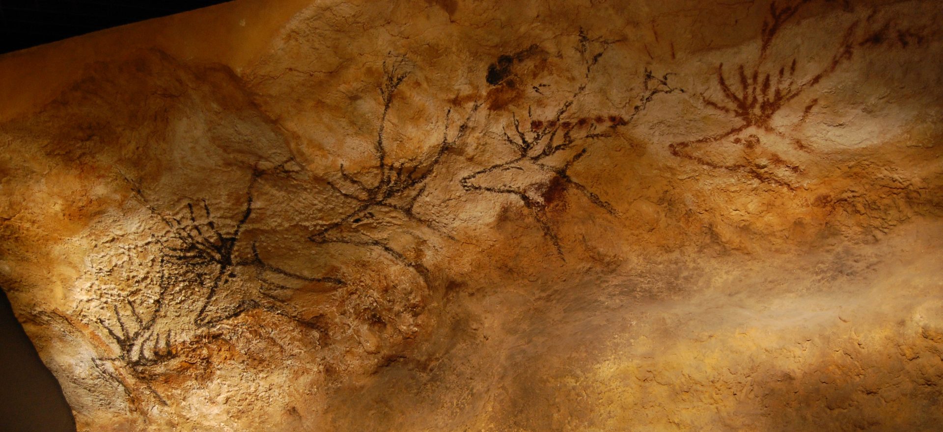 Photo des peintures rupestres dans la Grotte de Lascaux.